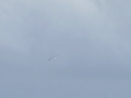 161-03-01-2026 IMG_3359